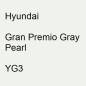 Preview: Hyundai, Gran Premio Gray Pearl, YG3.